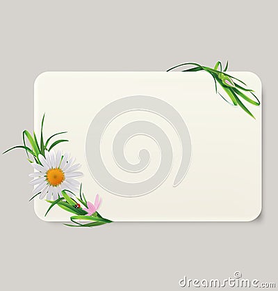 Card with grass and flowers Vector Illustration