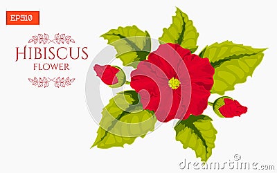 Card with hibiscus flower isolated on white. Vector illustration Vector Illustration