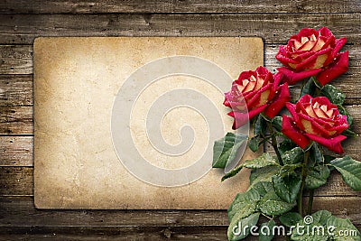 Card for invitation or congratulation with red rose Stock Photo