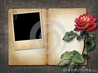 Card for invitation or congratulation with red rose and old phot Stock Photo