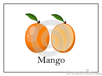 Card with signed whole mango and mango cut in half on white background in thin frame Vector Illustration