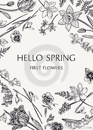 Card with spring flowers. Vector Illustration