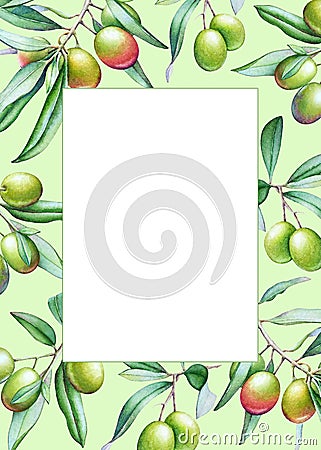 Card template with watercolor olive tree branches with olives an Stock Photo