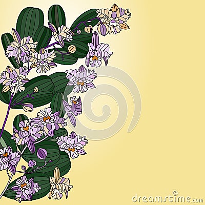 Card with tropic flower - orchid. Vector Illustration