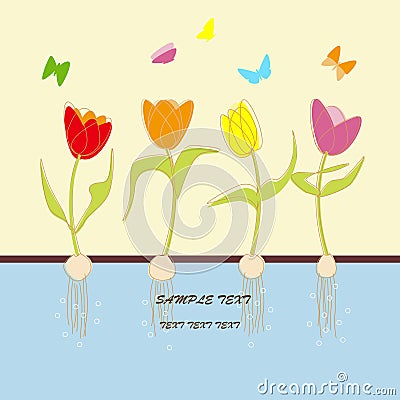 Card with tulip flowers Vector Illustration