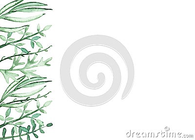 Card With Watercolor Green Herbs and Leaves Stock Photo