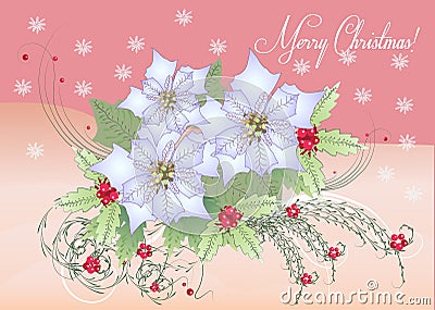 Card White Poinsettia and Berry Vector Illustration