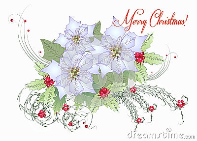 Card with White Poinsettia Vector Illustration