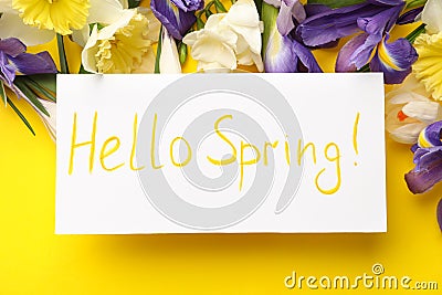 Card with words HELLO SPRING and fresh flowers on yellow background, flat lay Stock Photo