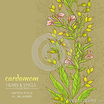 Cardamom vector background Vector Illustration