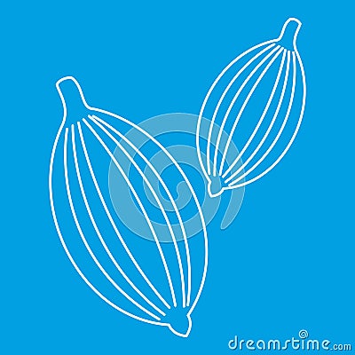 Cardamom icon, outline style Vector Illustration