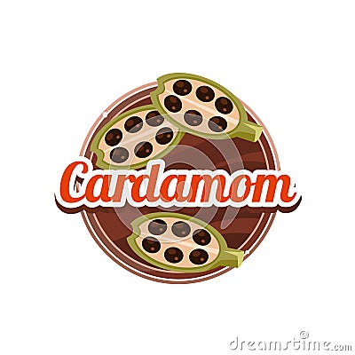 Cardamom Spice. Vector Illustration. Vector Illustration