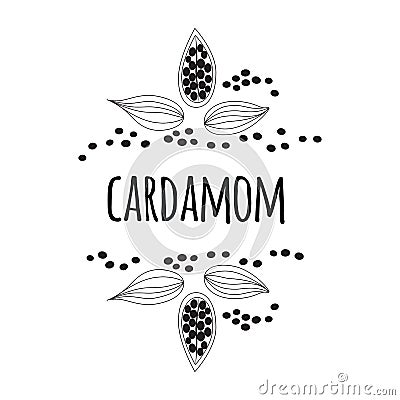 Cardamom spice. Sketch style vector illustration of cardamom. Frame. Food design element. Vector Illustration