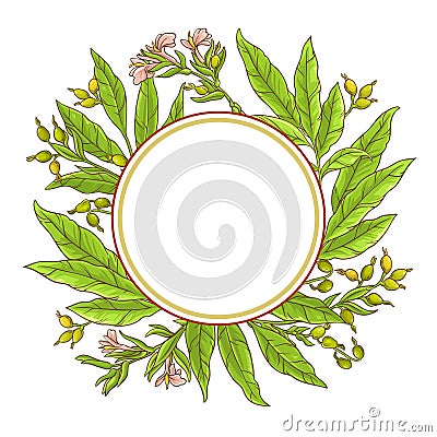 Cardamom vector frame Vector Illustration