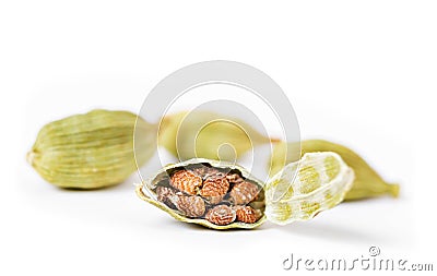 Cardamon with cardamon seeds Stock Photo