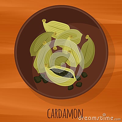 Cardamon flat design vector icon. Vector Illustration