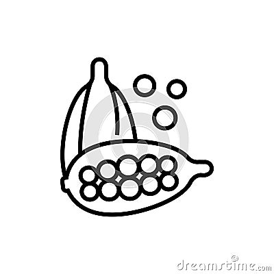 Cardamon seeds black line icon. Seasoning vector illustration. Isolated contour of orthopedics diseases on white Vector Illustration