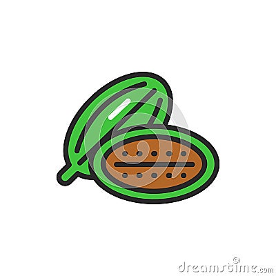 Cardamon seeds color line icon. Spices product. Vector illustration Vector Illustration