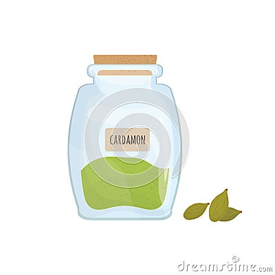 Cardamon seeds stored in glass jar isolated on white background. Aromatic herb, food spice or condiment, cooking Vector Illustration