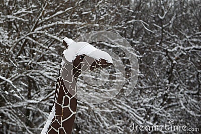 Cardboard statue of a giraffe during winter in Bucharest, Romania Editorial Stock Photo