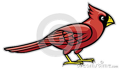 Cardinal bird Vector Illustration