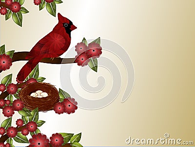 Cardinal and Nest Background Stock Photo