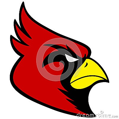 Cardinal Sports Mascot Vector Illustration