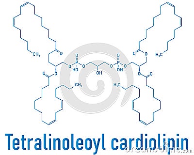 Cardiolipin tetralinoleoyl cardiolipin molecule. Skeletal chemical formula. Vector Illustration