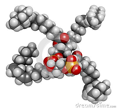 Cardiolipin tetralinoleoyl cardiolipin molecule. Important component of the inner membrane of mitochondria. 3D rendering. Atoms. Stock Photo