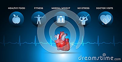 Cardiology health care icons and heart anatomy Vector Illustration