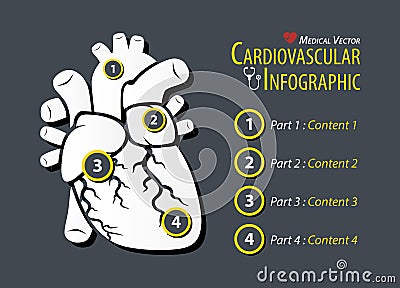 Cardiovascular Infographic . Flat design . Vector Illustration