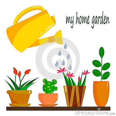 Cards illustration of garden watering cans and flowers in pots. Cartoon Illustration