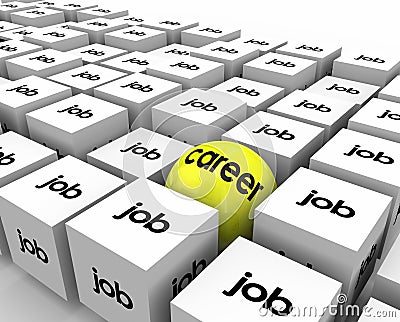 Career Vs Job Sphere Cubes Work Opportunity Growth Development Stock Photo