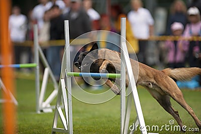 Carefull jump Stock Photo