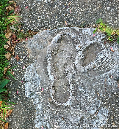 Careless Footprints ruining wet cement Stock Photo