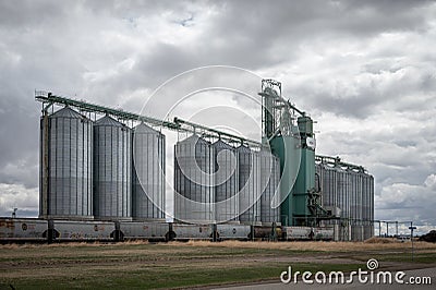 Cargill Elevator, Blackie Editorial Stock Photo