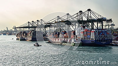 The cargo port of Singapore with docked container ships and container cranes Editorial Stock Photo