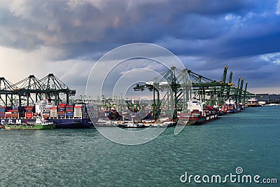 The cargo port of Singapore with docked container ships and container cranes Editorial Stock Photo