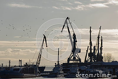 Cargo transportation industrial landscape - seaport at sunny day - cranes in harbor, silhouette Stock Photo