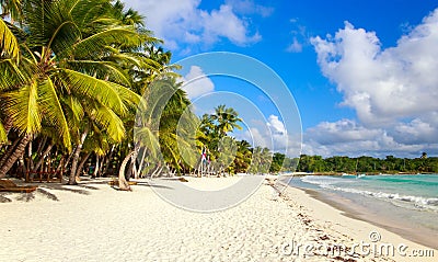 Caribbean beach in Dominican Republic Stock Photo