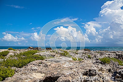 Sunny day on the Mexican caribbean coast Stock Photo