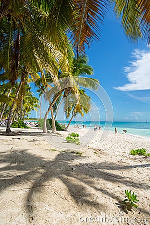 Caribbean Dream in Saona Island, Punta Cana, Dominican Republic. Stock Photo