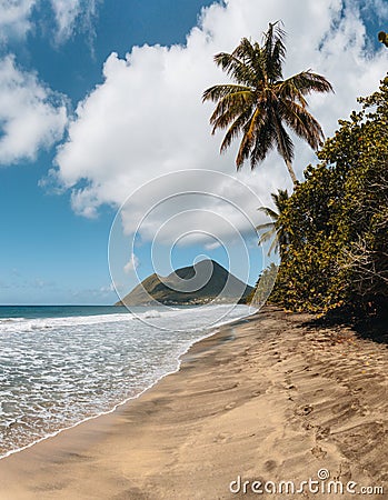 Caribbean Martinique Diamant beach with coconut palm and blue sky. Travel concept for beach vacatation. French oversea Stock Photo
