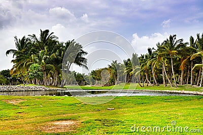 Caribbean nature in Dominican Republic Stock Photo