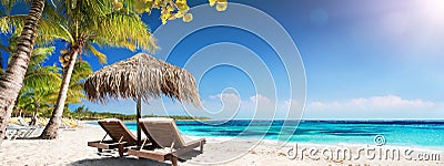 Caribbean Palm Beach With Wooden Chairs And Straw Umbrella Stock Photo