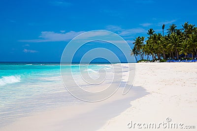 Caribbean sea and palms Stock Photo