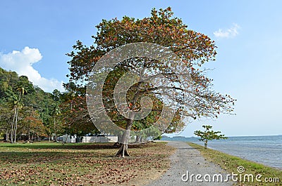 Caribbean seaside bay and walkway in the town of Chaguaramas, Trinidad and Tobago Stock Photo