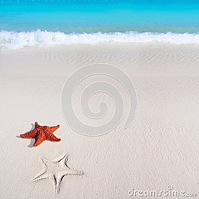 Caribbean starfish tropical sand turquoise beach Stock Photo