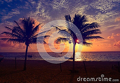 Caribbean sunrise palm trees Riviera Maya Stock Photo