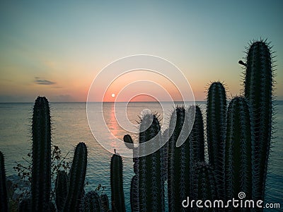 Caribbean sunset on curacao travel Stock Photo